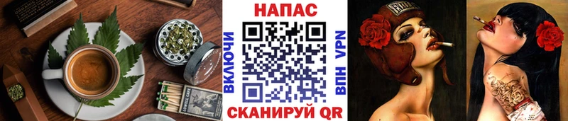 KRAKEN как зайти  Данилов  Cannafood конопля 