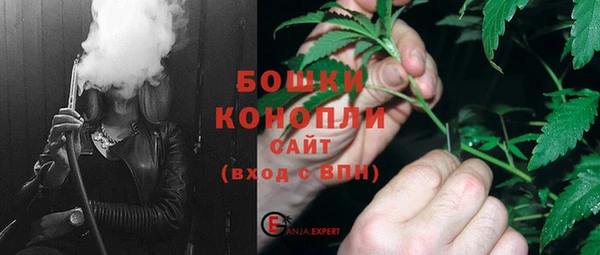 хмурый Гусь-Хрустальный