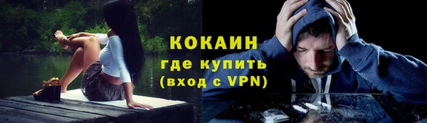 хмурый Гусь-Хрустальный