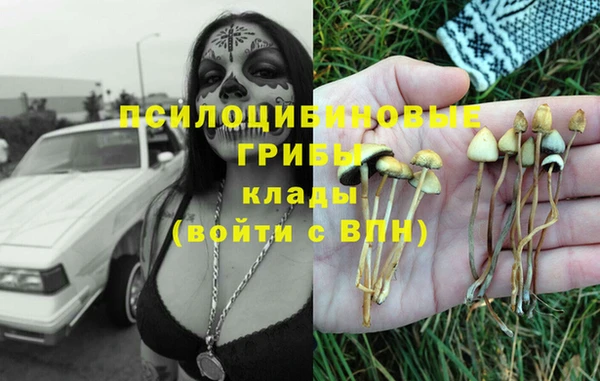 мяу мяу мука Шарыпово