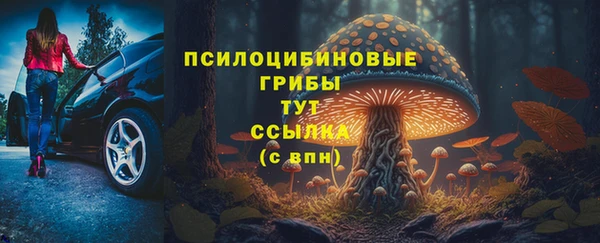 хмурый Гусь-Хрустальный