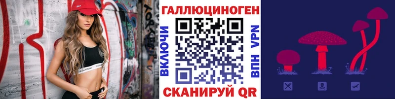 Псилоцибиновые грибы Psilocybine cubensis  Данилов 